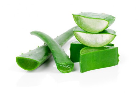 Aloe Gel